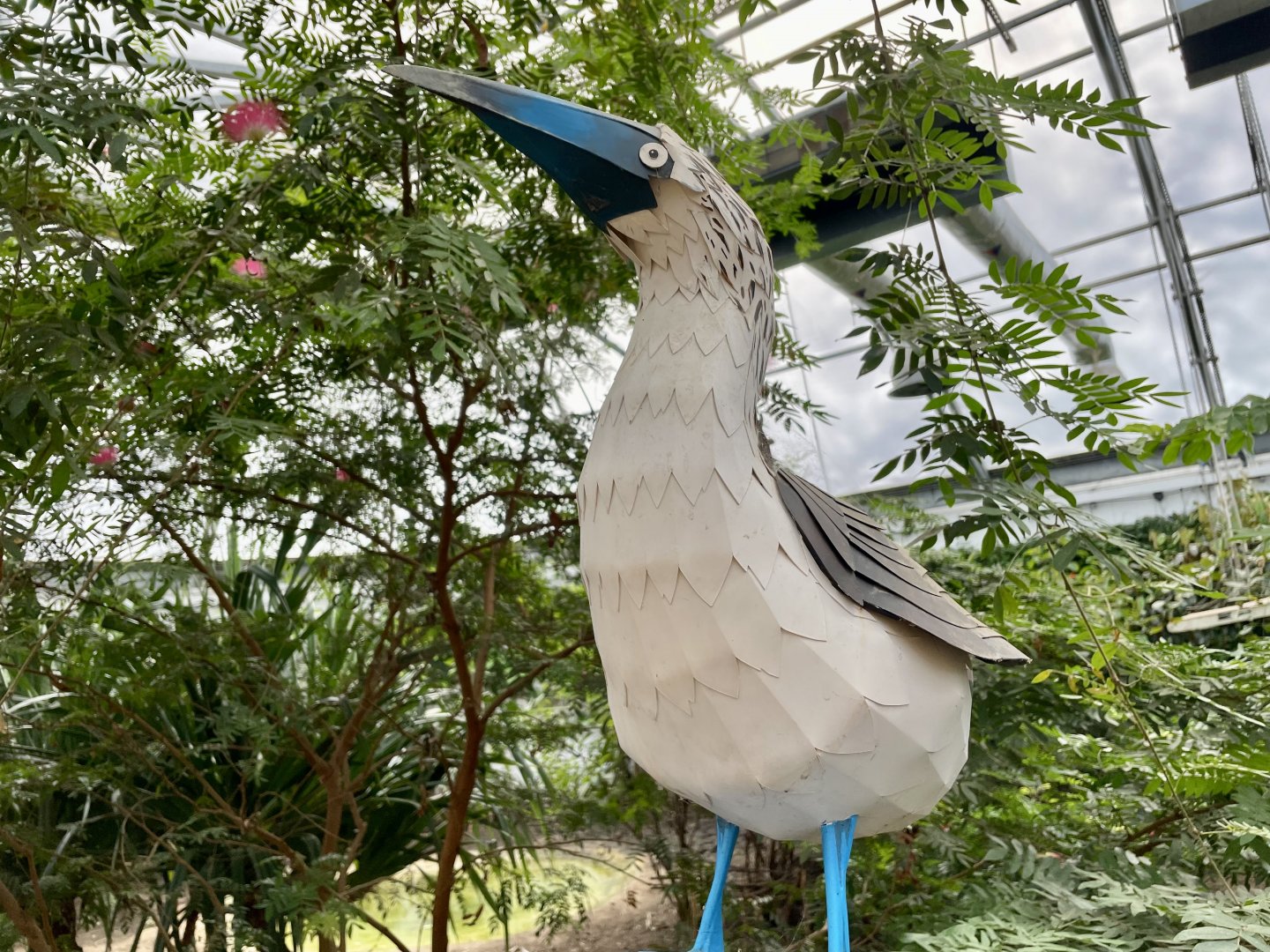 Blue-footed Booby Statue, Giants of the Galápagos