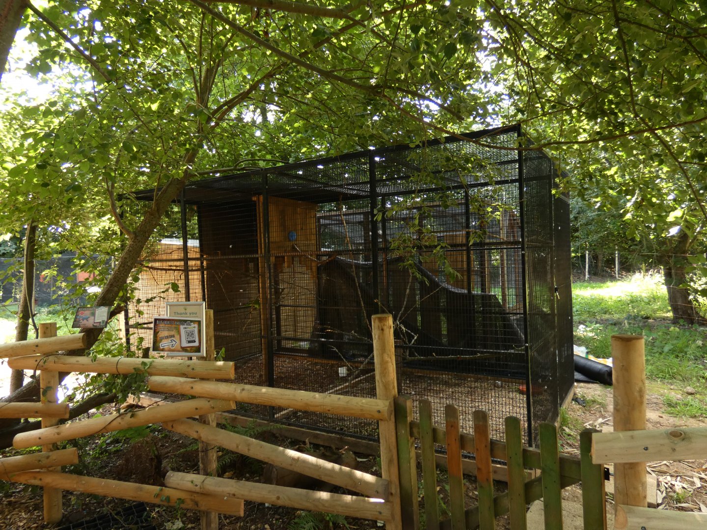 Blue-fronted Amazon aviary