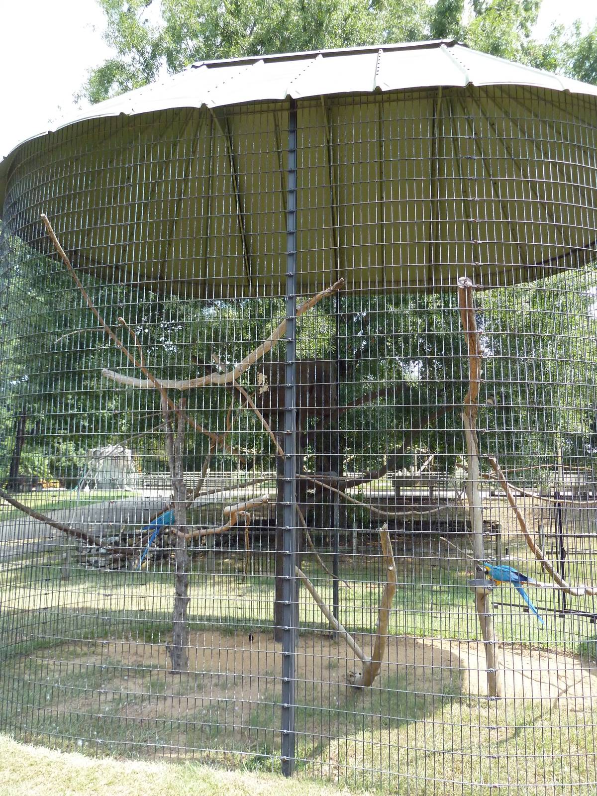 Blue + Gold Macaw Exhibit