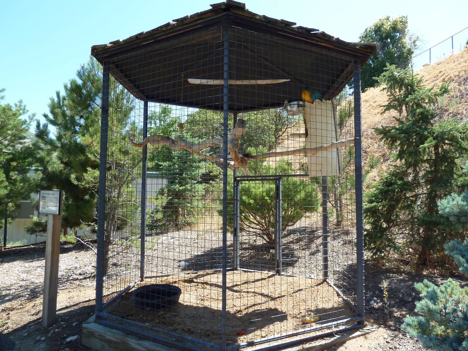 Blue + Gold Macaw Exhibit