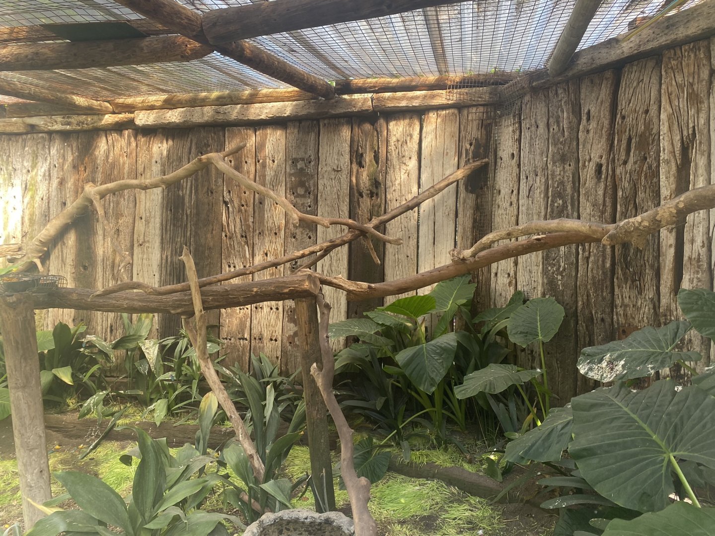 Blue & Gold Macaw Exhibit