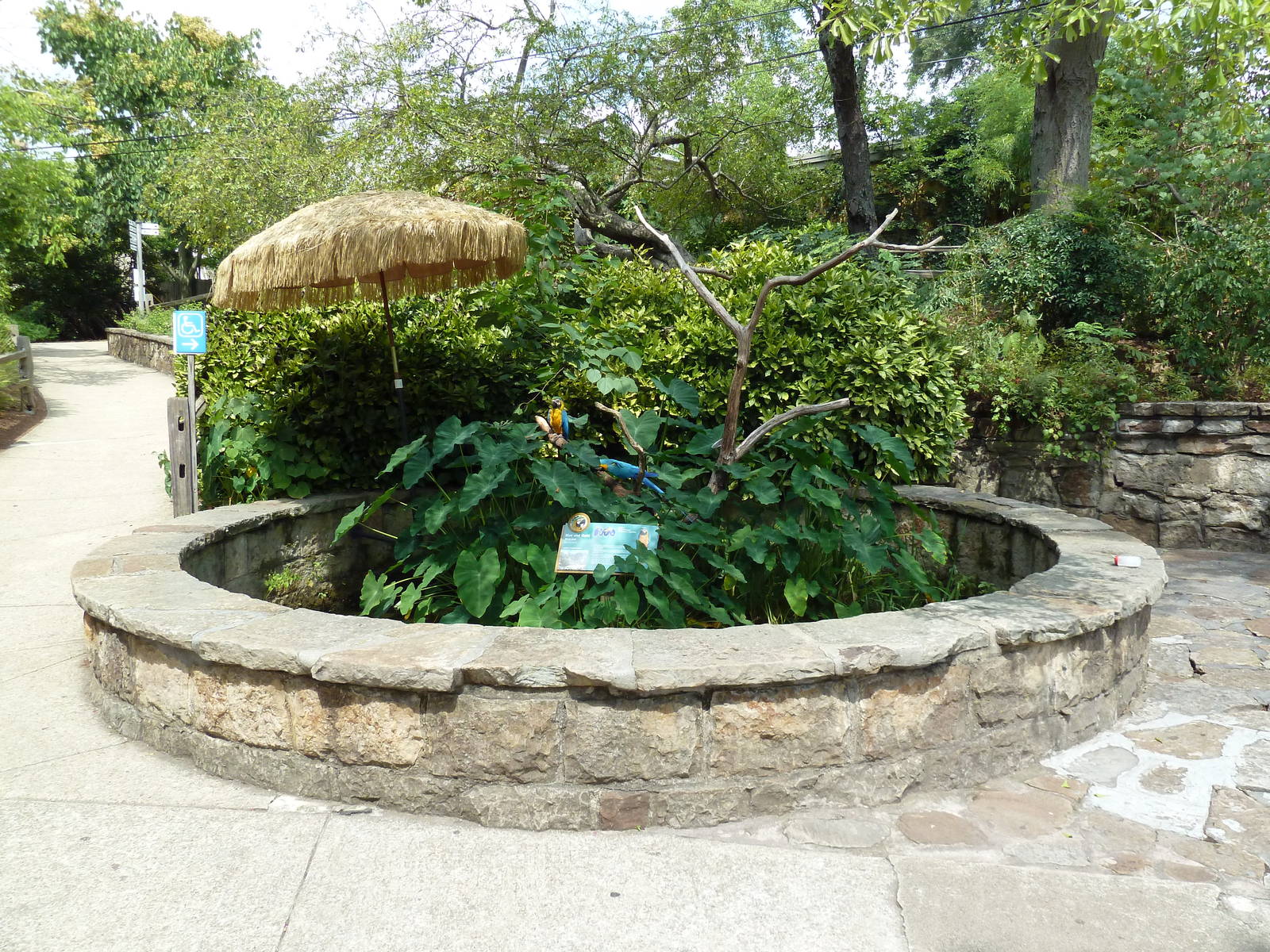 Blue + Gold Macaw/Turtle Exhibit