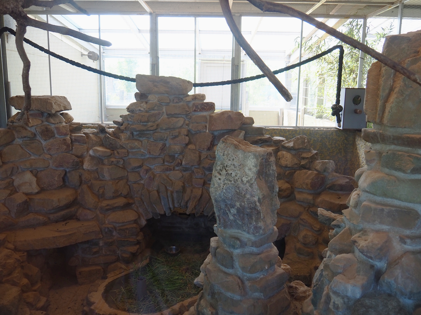 Blue-headed macaw and Plains viscacha indoor exhibit, 2023-05-31
