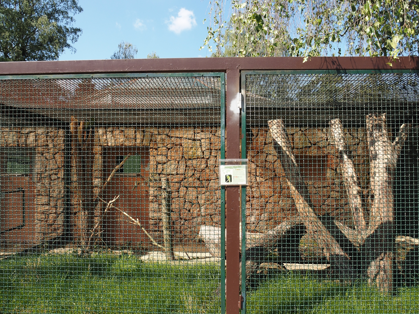 Blue-headed macaw aviary, 2024-05-23
