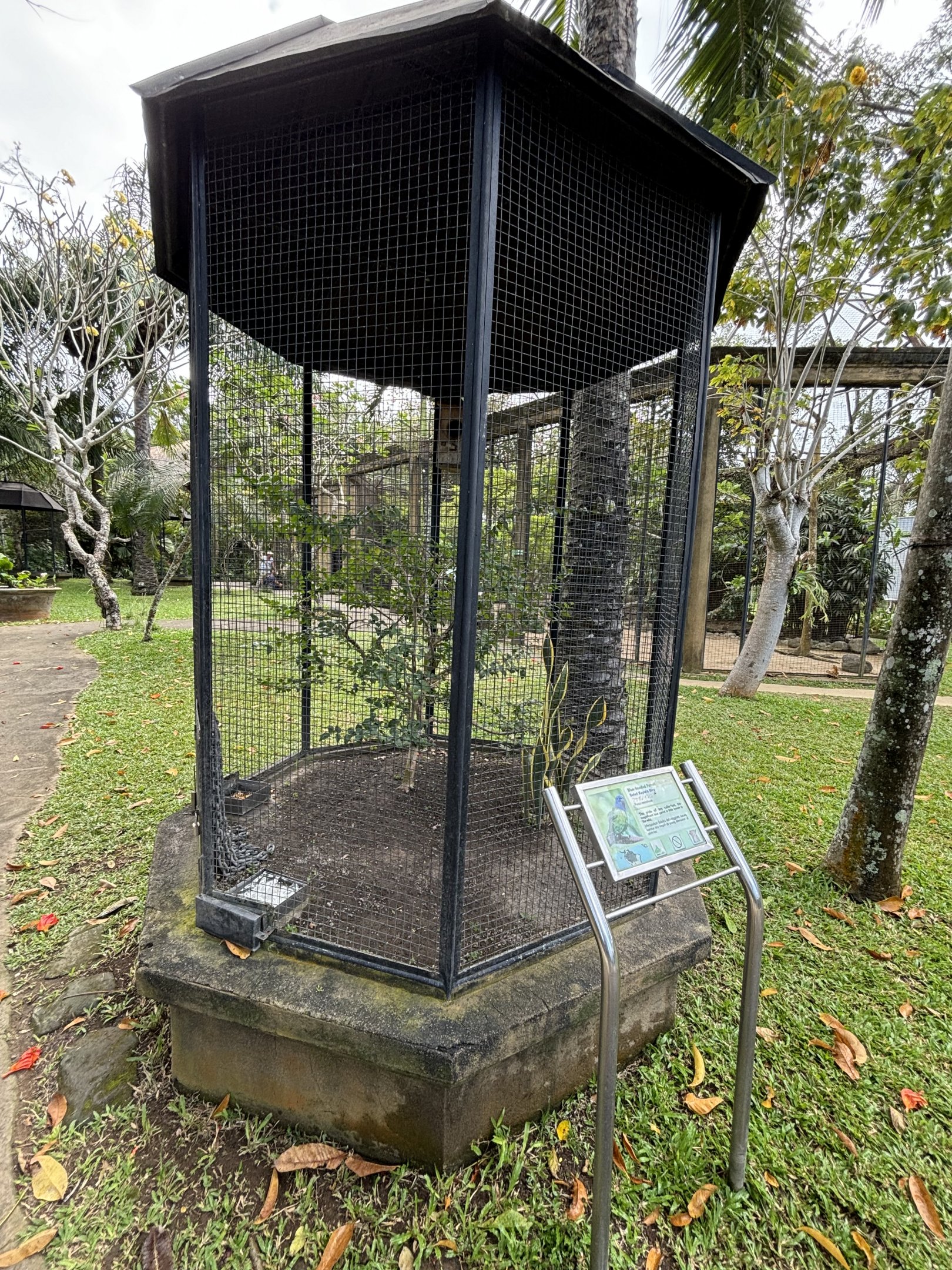 Blue-headed Parrot Aviary