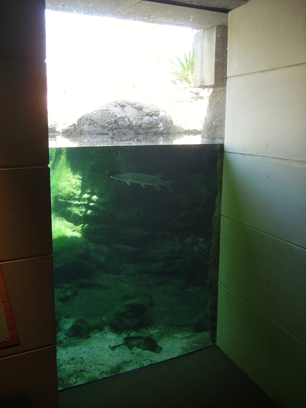 Blue Hole Springs - Flint River Gallery