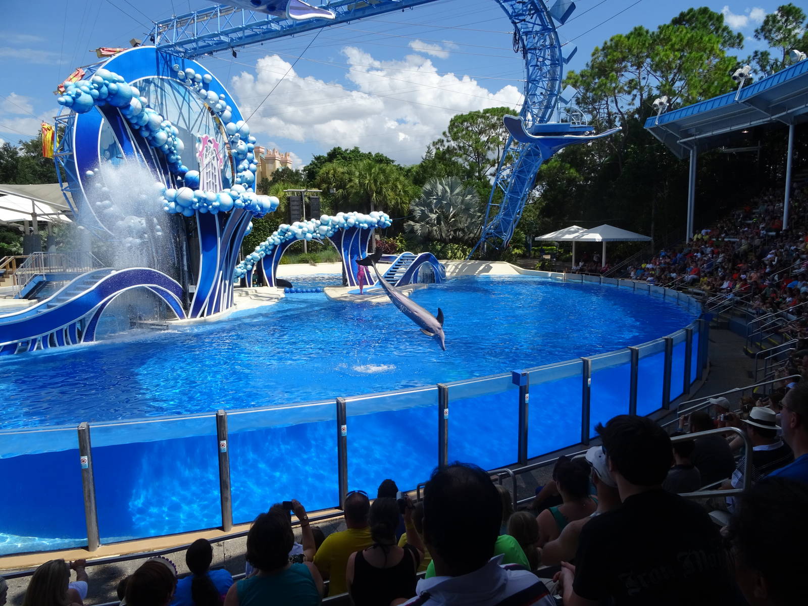 Blue Horizons at SeaWorld Orlando