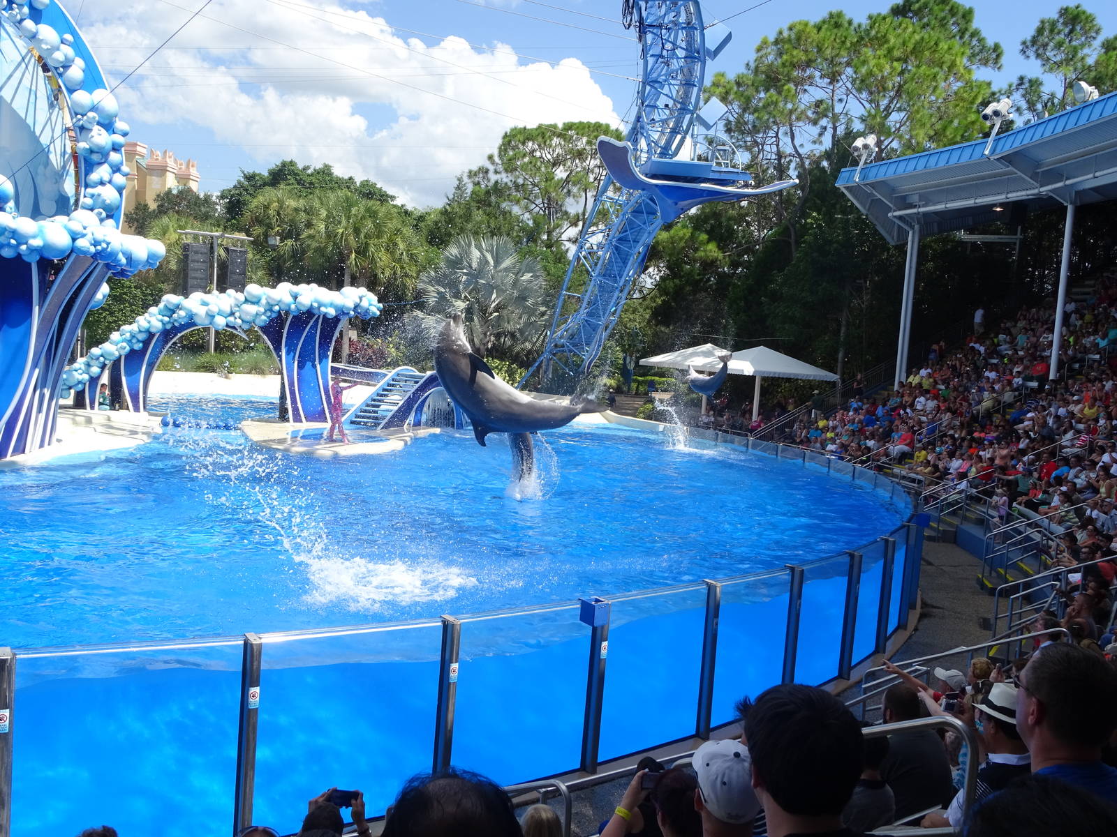 Blue Horizons at SeaWorld Orlando