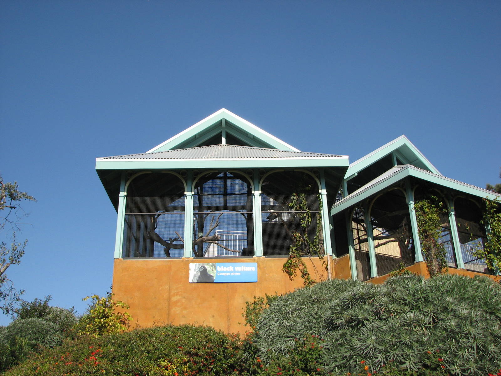 Blue Horizons - Black Vulture Holding