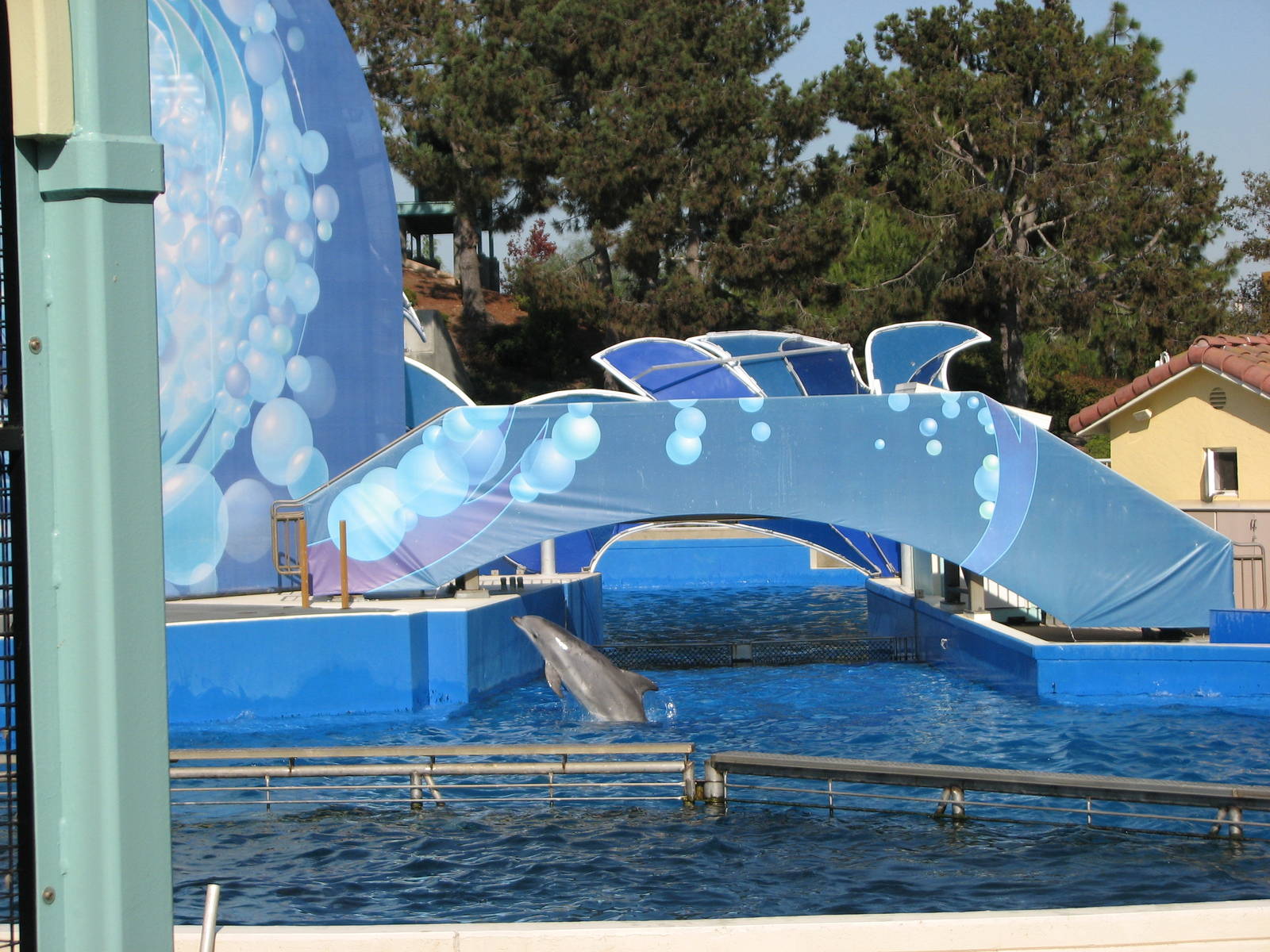 Blue Horizons - Bottlenose Dolphin