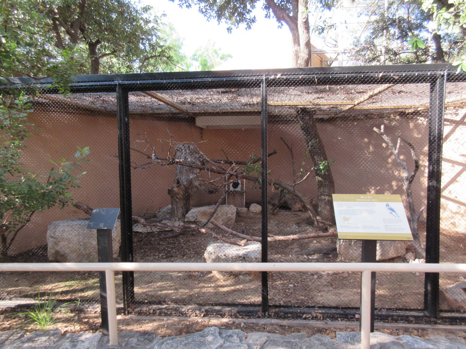 Blue Jay Exhibit