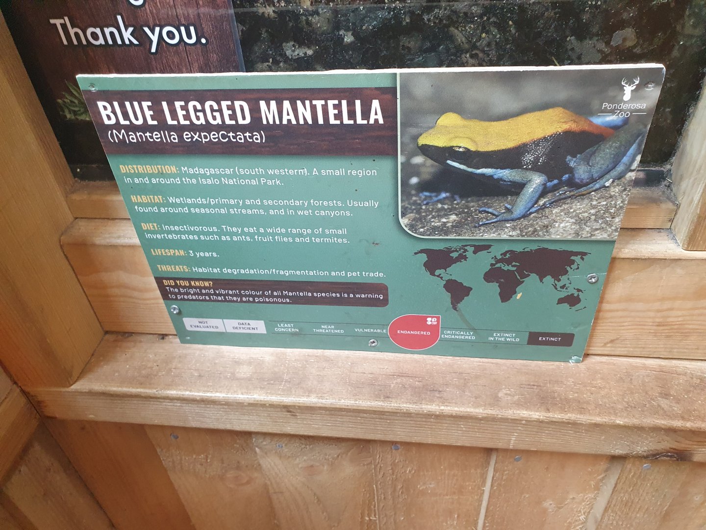 Blue Legged Mantella Signage