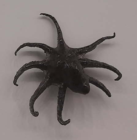 Blue-Lined Octopus - Queensland Museum