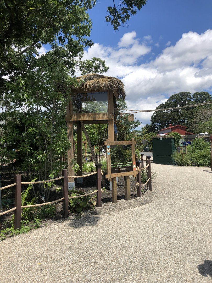 Blue Macaw Outdoor Enclosure - July, 2020