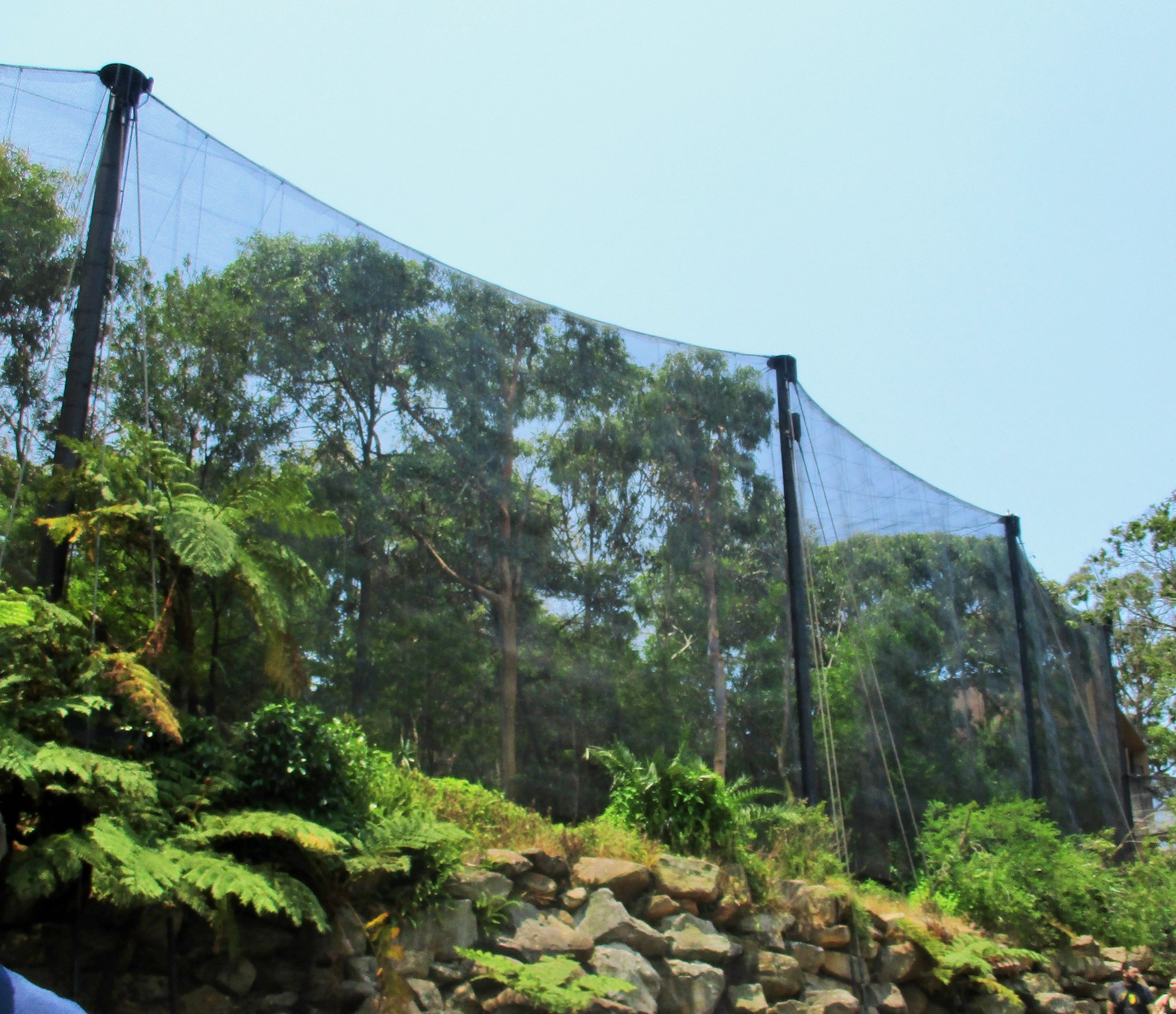 Blue Mountains Bushwalk Aviary