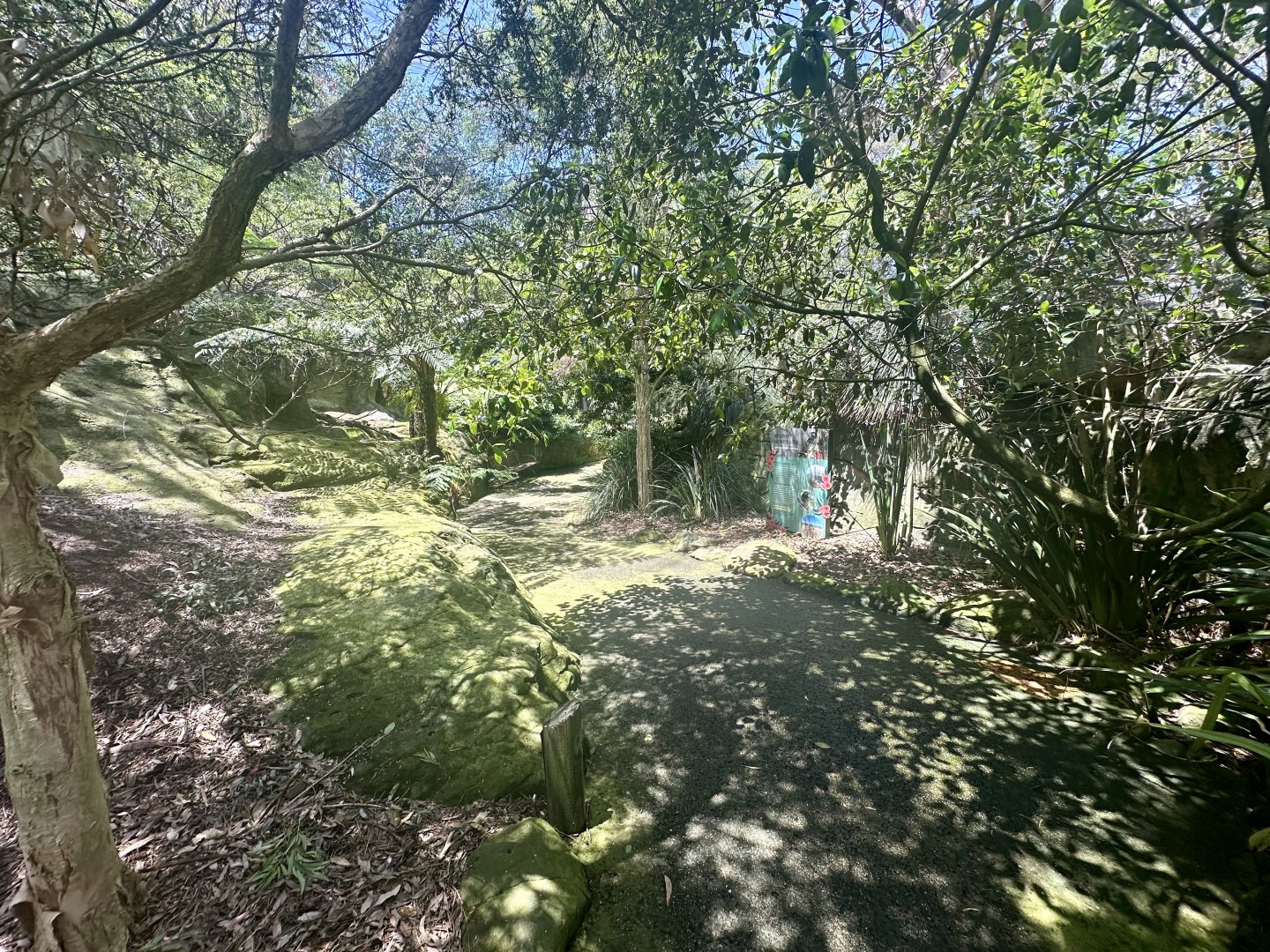 Blue Mountains Bushwalk Aviary
