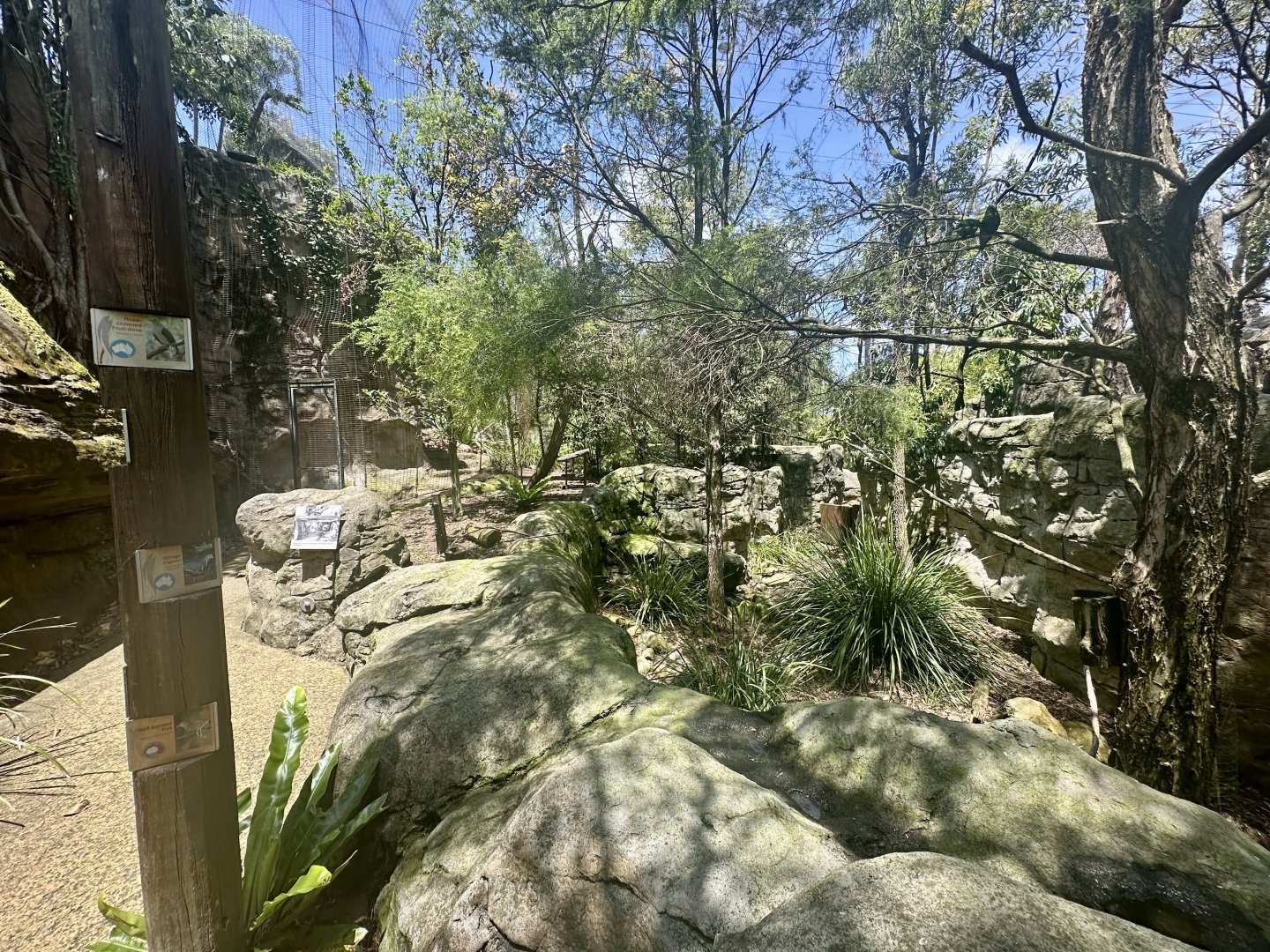 Blue Mountains Bushwalk Aviary