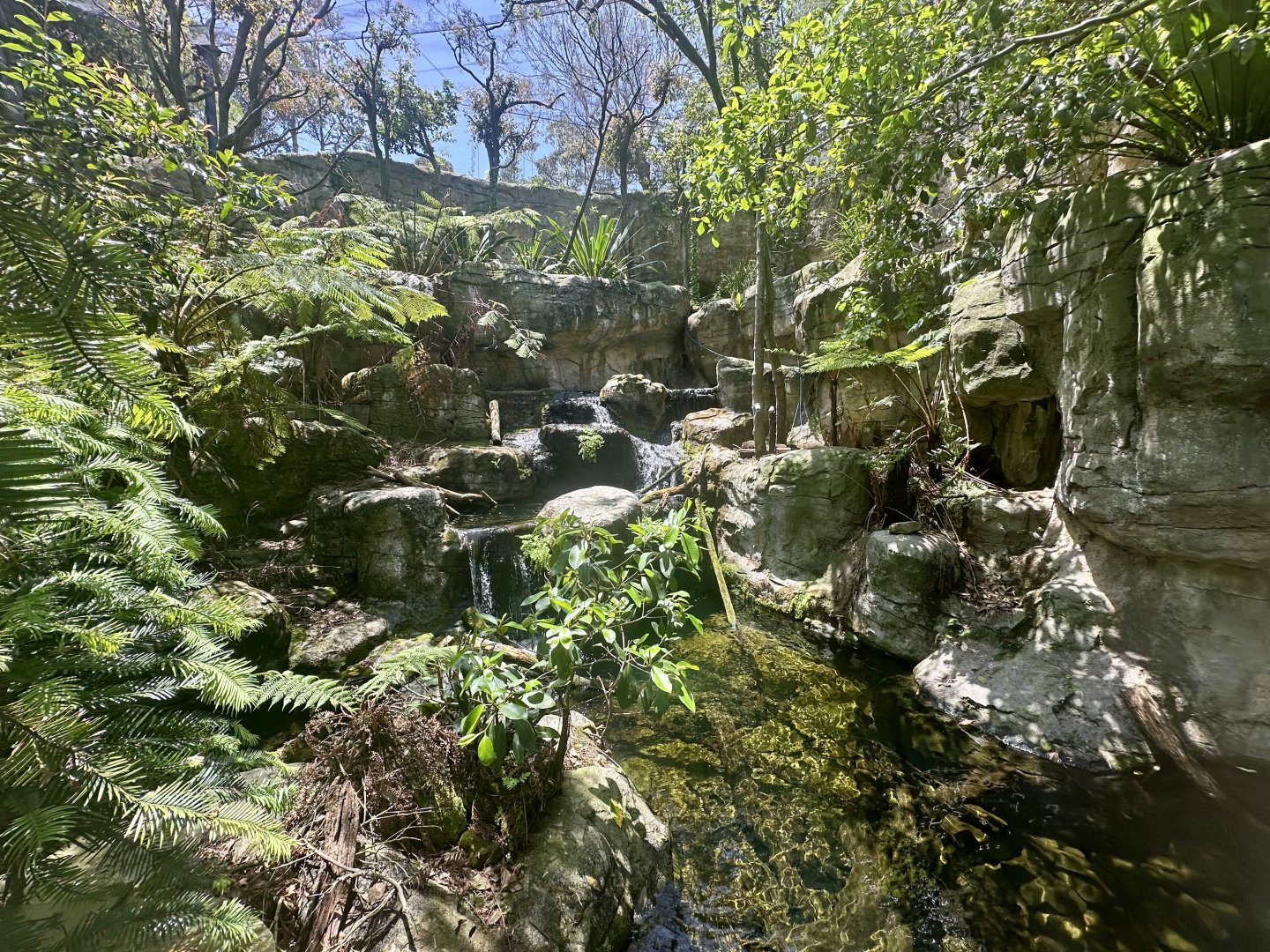 Blue Mountains Bushwalk Aviary