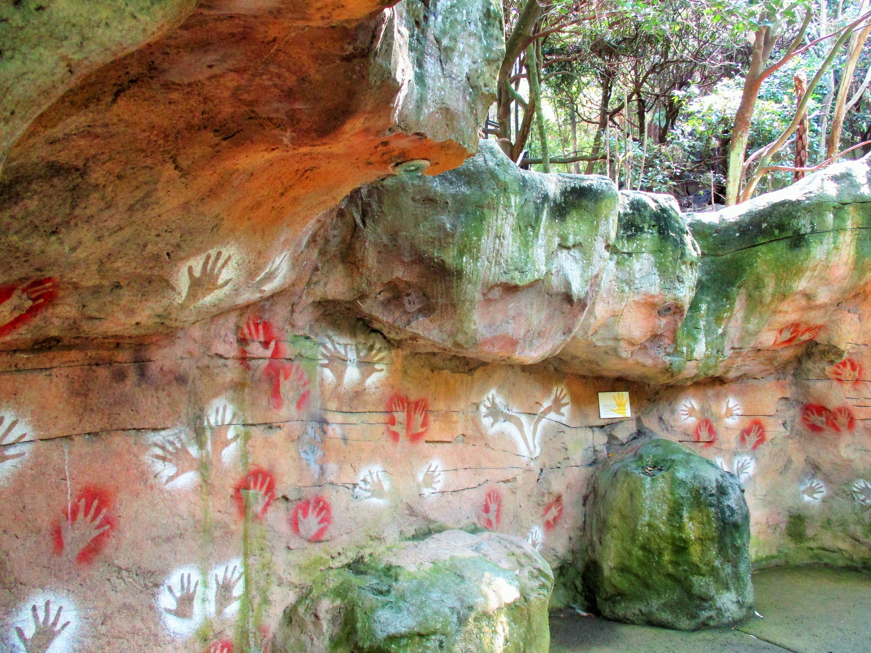 Blue Mountains Bushwalk- Rock Artwork