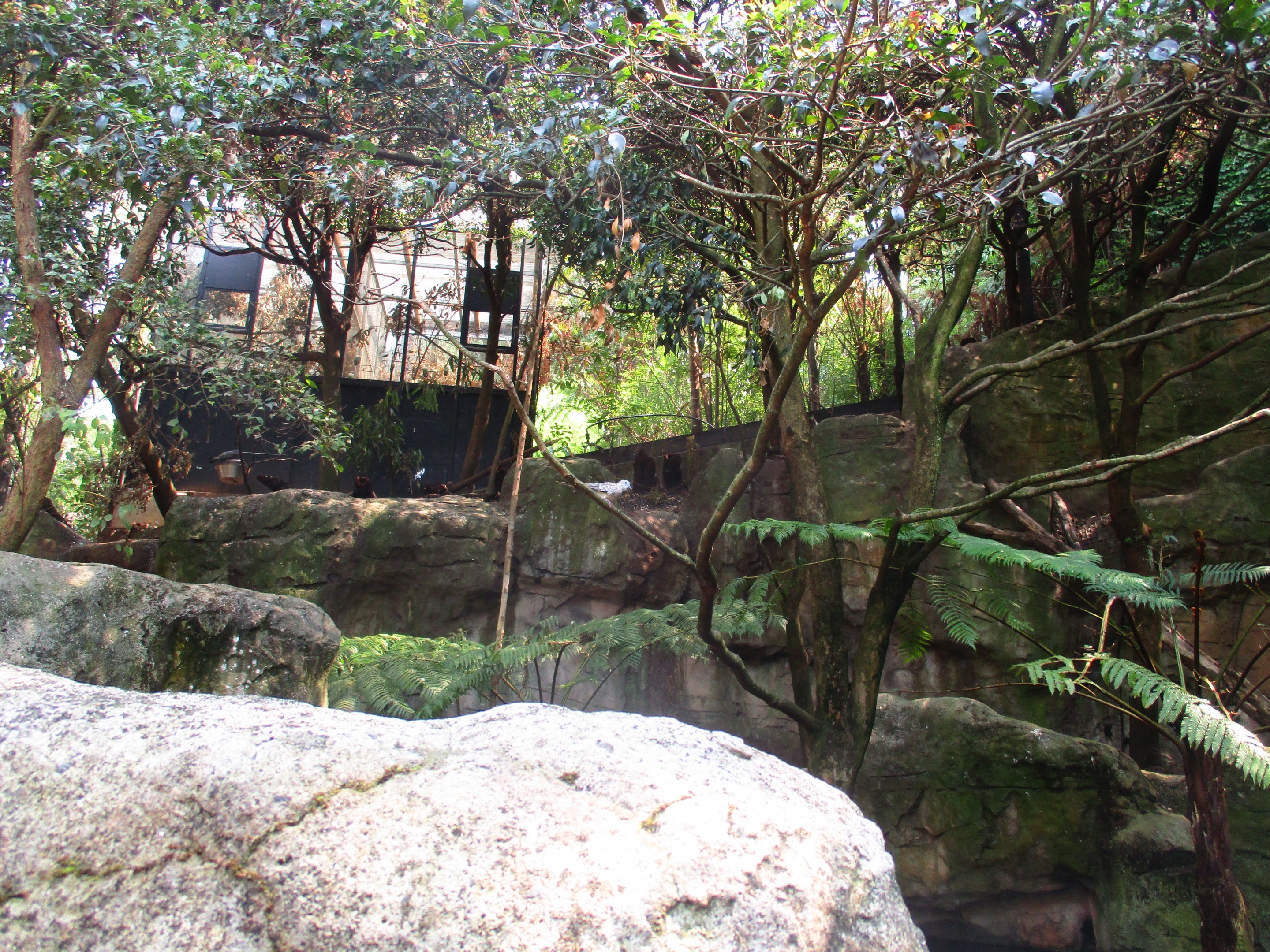 Blue Mountains Bushwalk