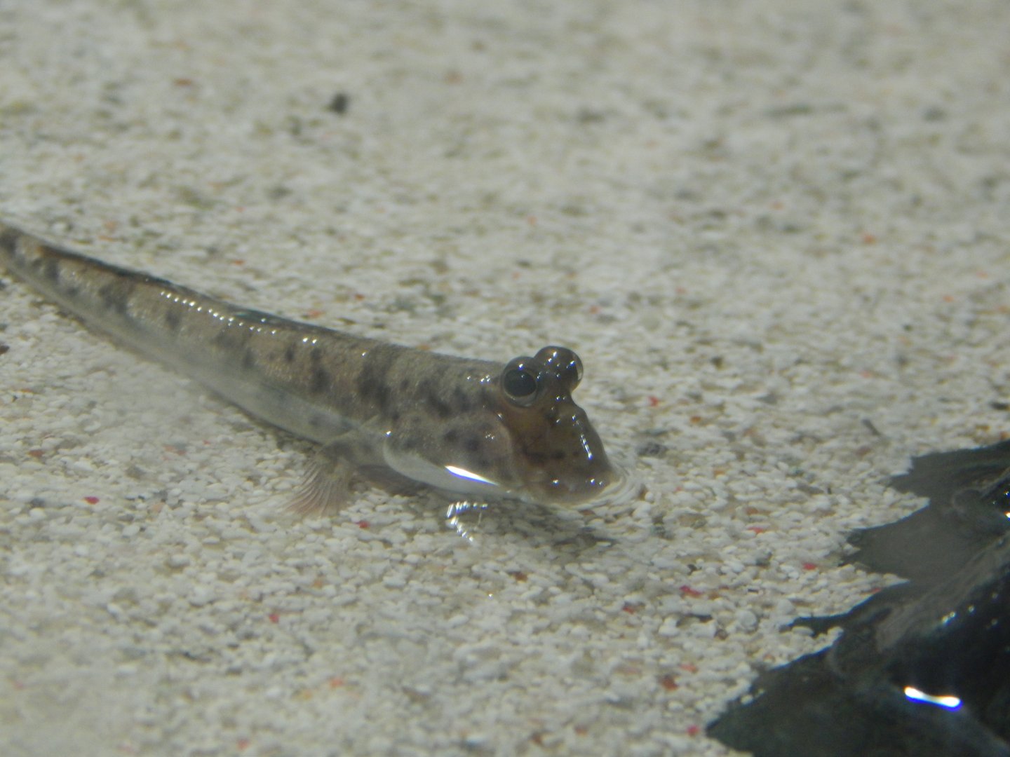 Blue Planet 18/08/16