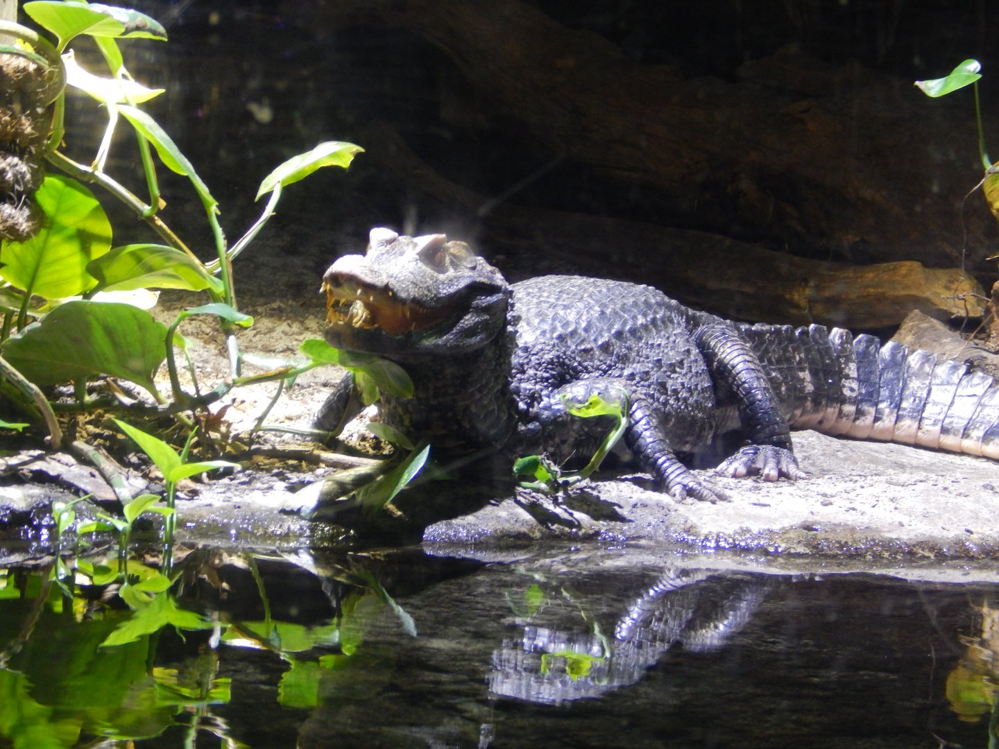 Blue Planet 18/08/16