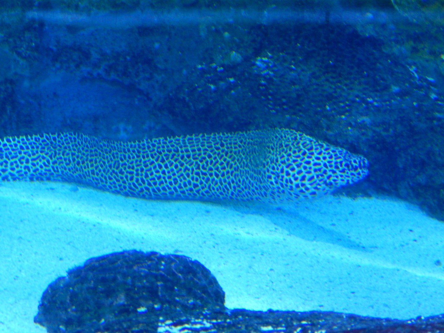 Blue Planet 18/08/16