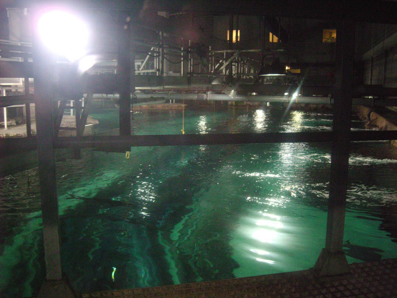 blue planet aquarium