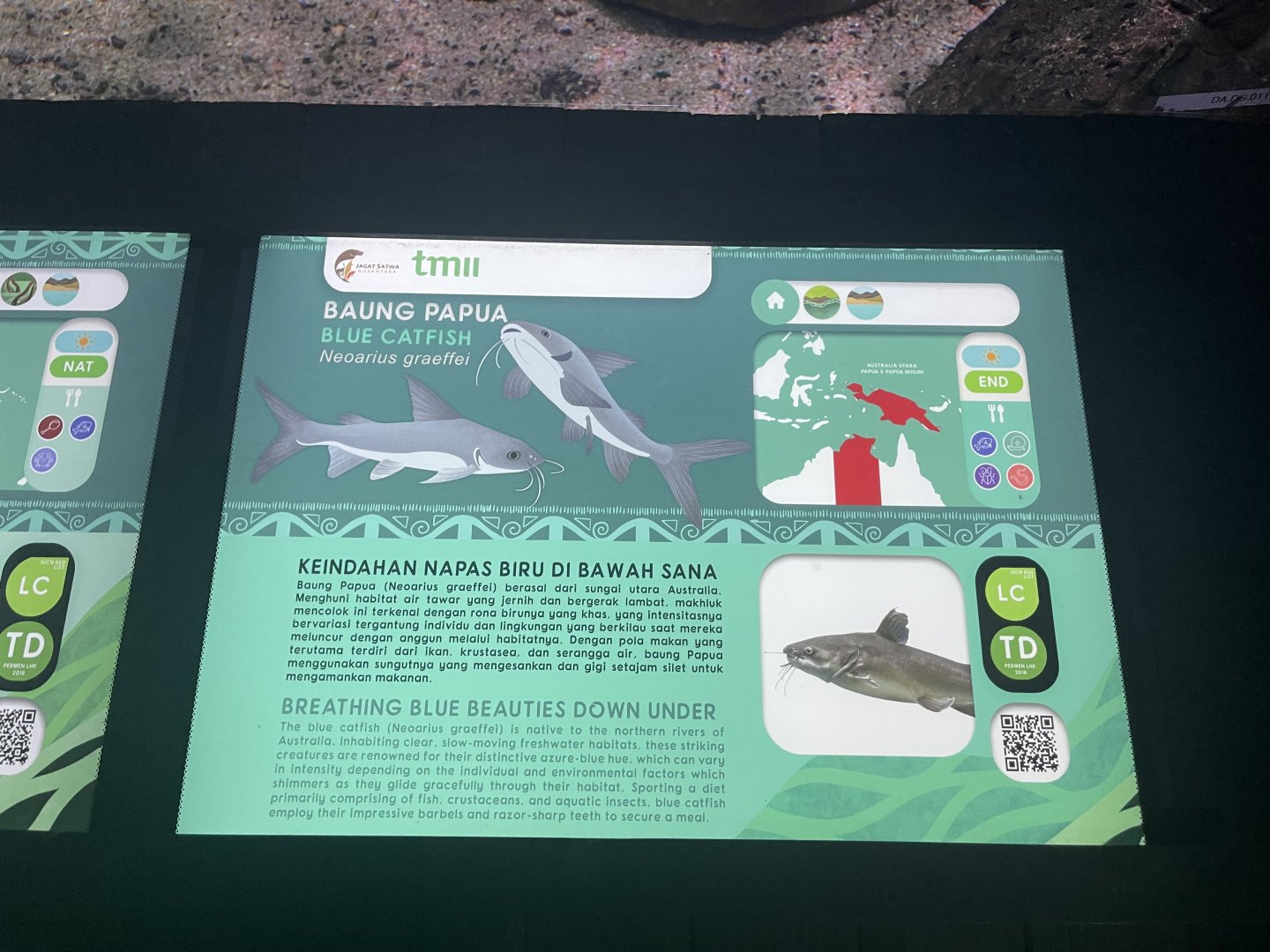 blue salmon catfish signage - dunia air tawar