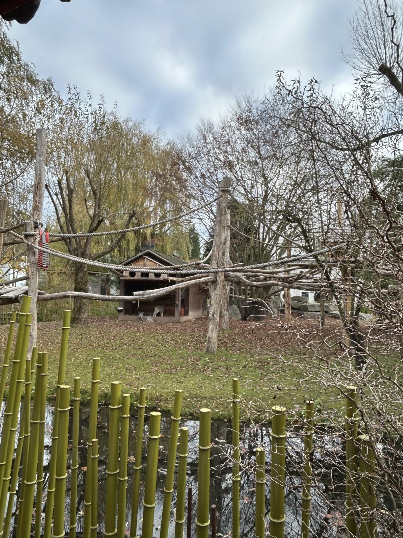 Blue sheep and binturong exhibit