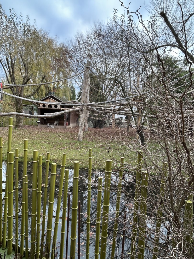 Blue sheep and binturong exhibit