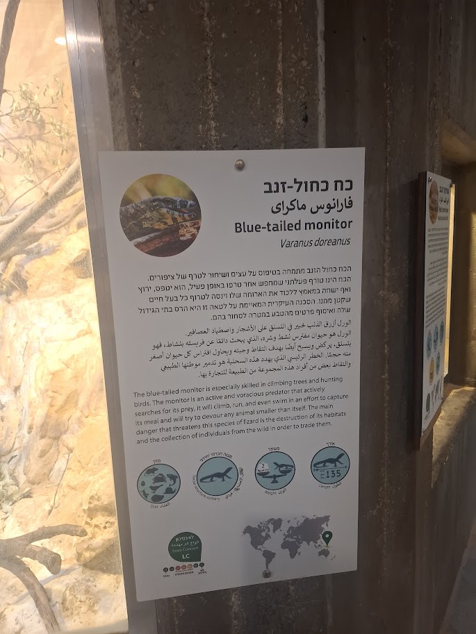 Blue-tailed Monitor Lizard - Sign