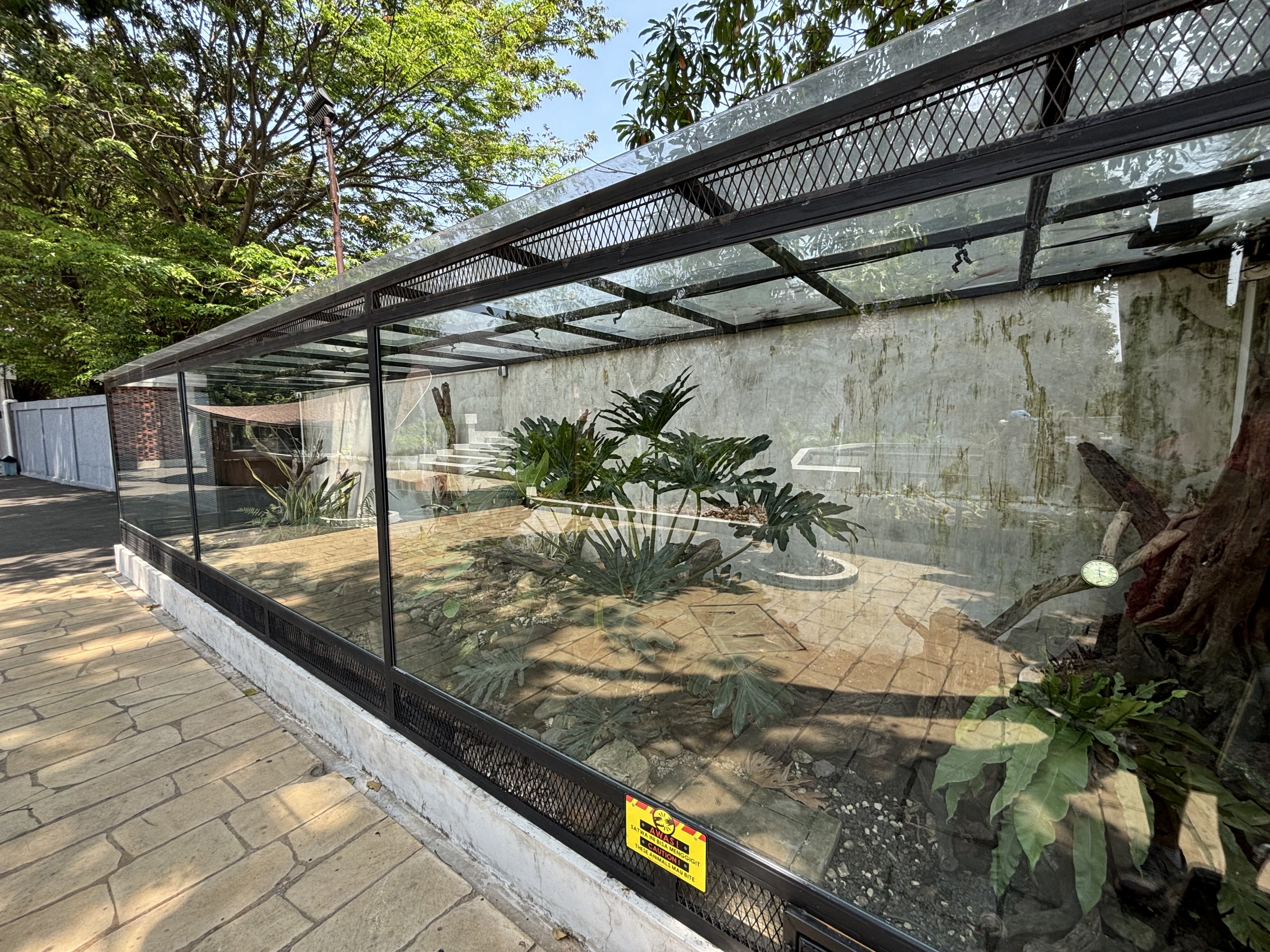 Blue-tailed Monitor + Quince Monitor Exhibit