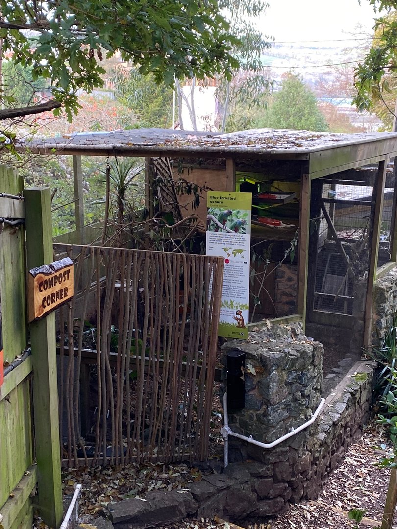 Blue-throated conure aviary 111222
