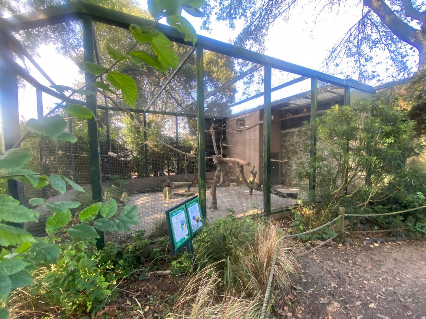 Blue-throated macaw aviary 081023