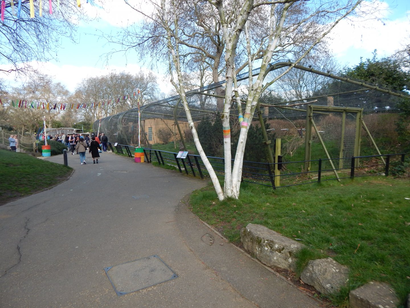 Blue-throated macaw aviary 180322