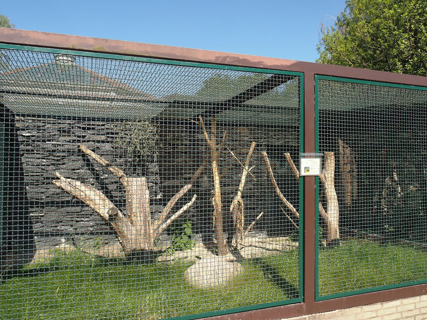 Blue-throated macaw aviary, 2024-05-23