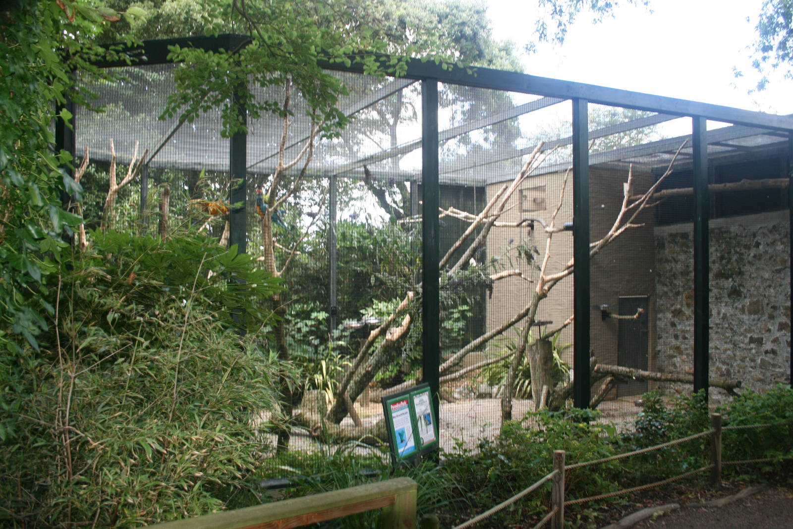 Blue Throated Macaw Aviary