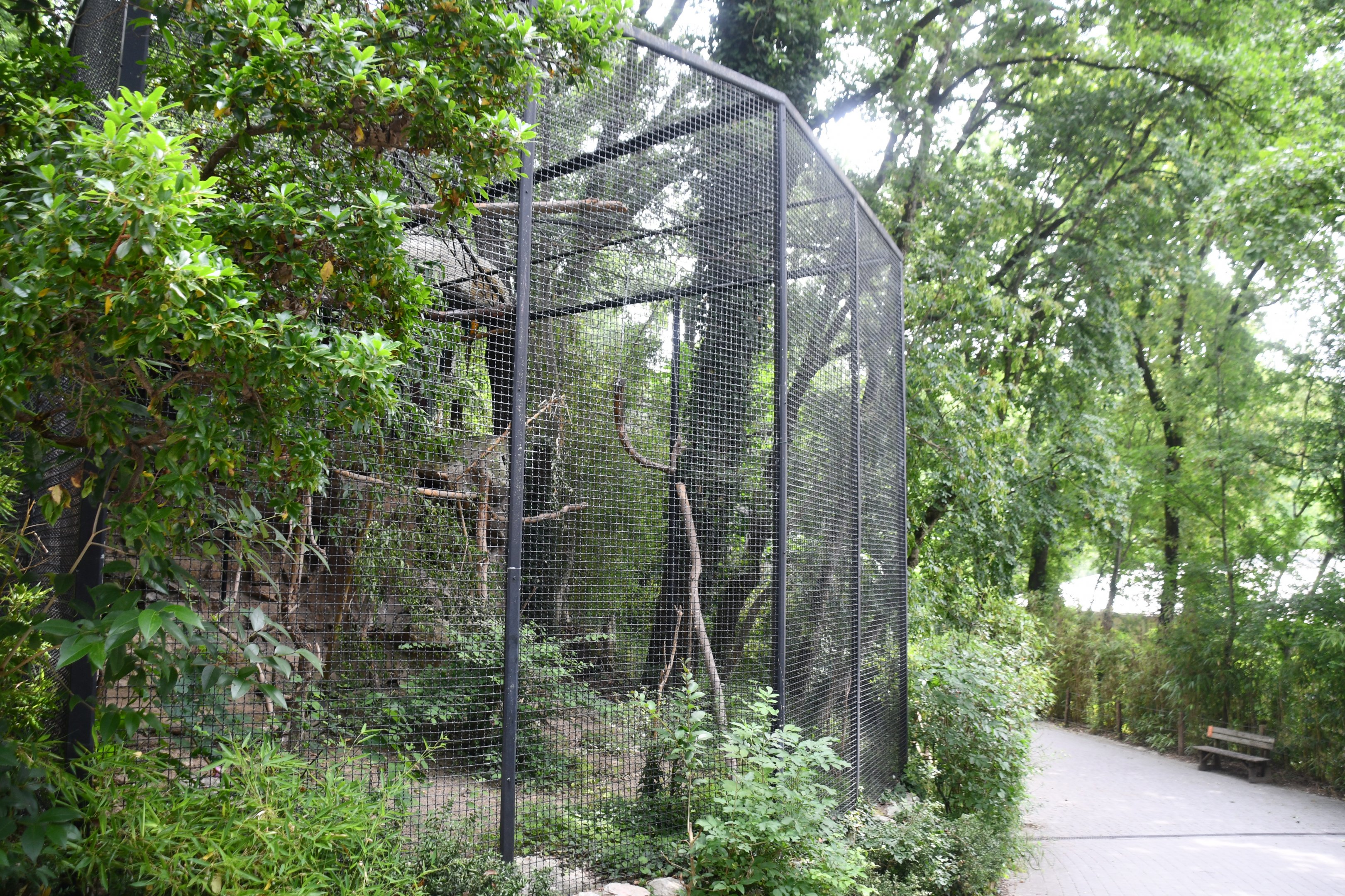 Blue-throated Macaw aviary