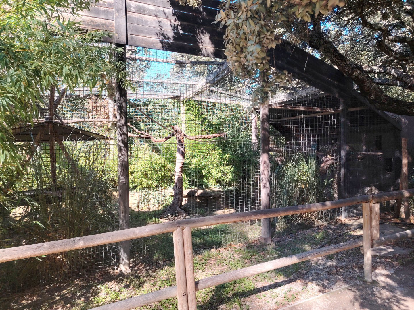 Blue-throated Macaw Aviary