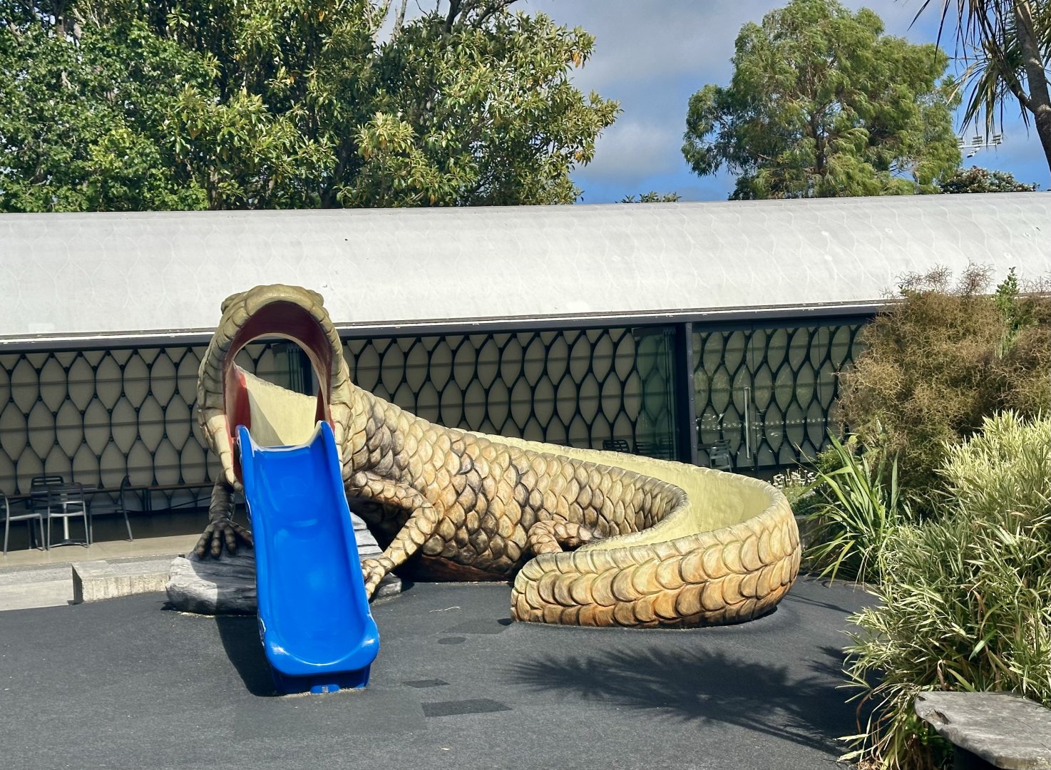 Blue-tongue Skink Slide