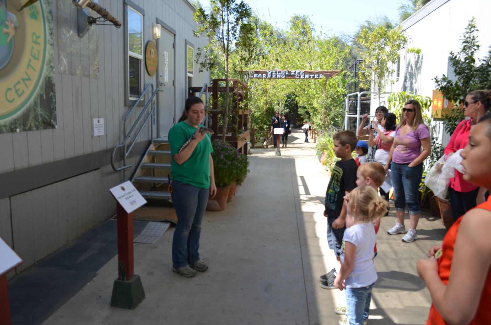 Blue-Tongued Skink Presentation