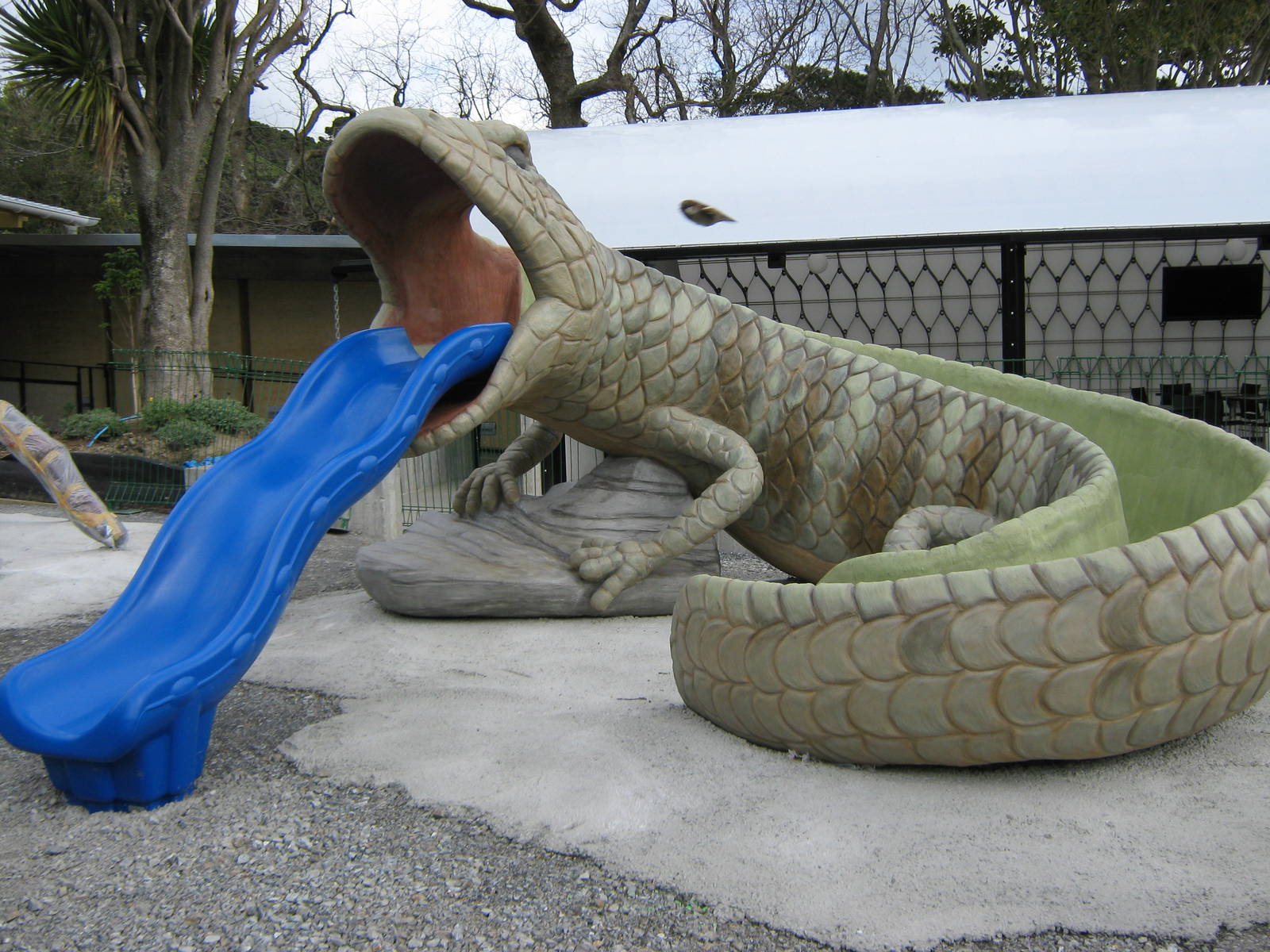 blue-tongued skink slide
