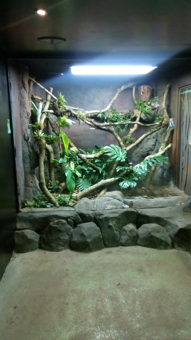 Blue Tree Monitor Exhibit