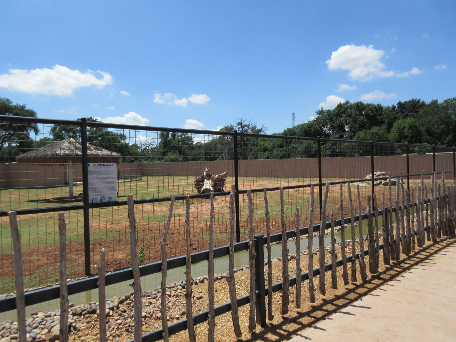 Blue Wildebeest Exhibit (New in 2014)