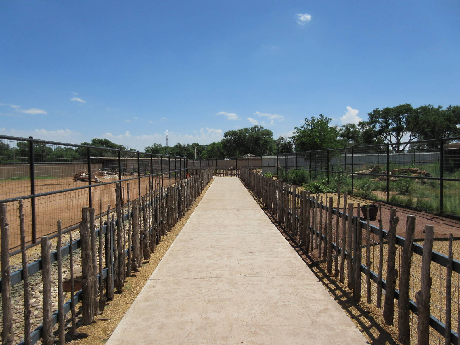 Blue Wildebeest + Grant's Zebra Exhibits (New in 2014)