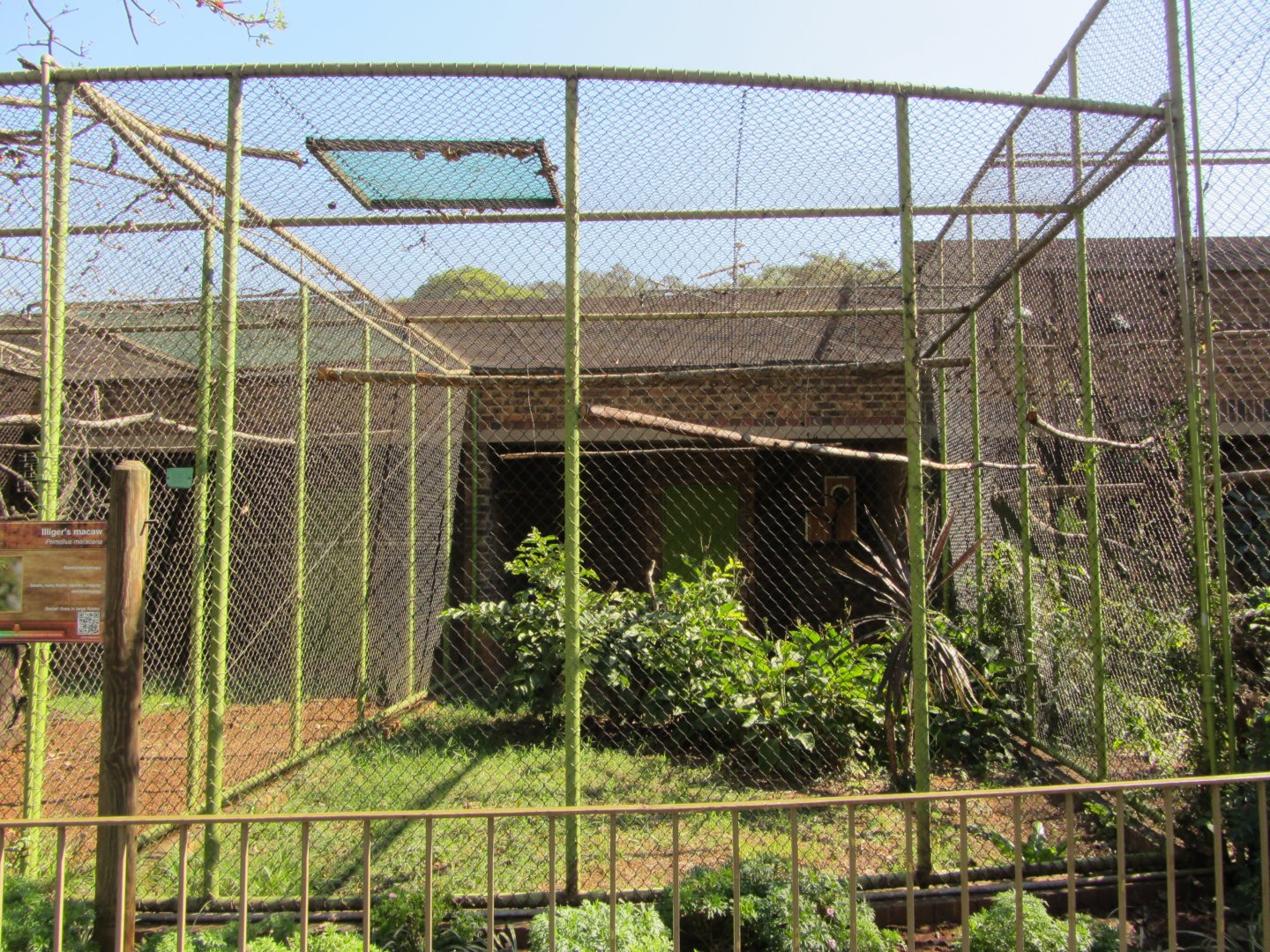 Blue-winged Macaw Aviary