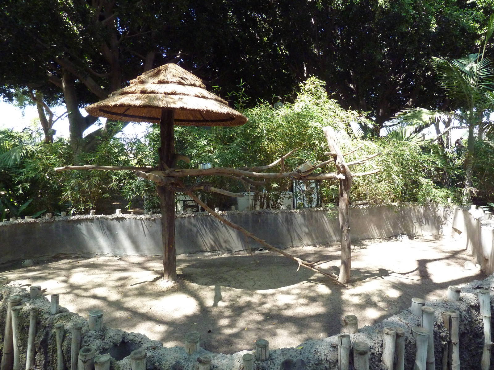 Blue + Yellow Macaw Exhibit