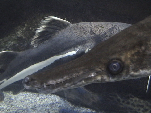 Blue Zoo Aquarium Beijing