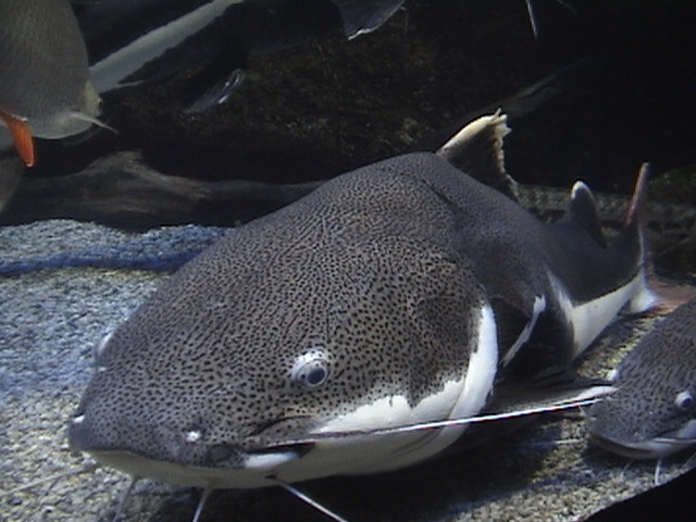 Blue Zoo Aquarium Beijing